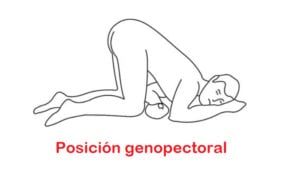 Posición genopectoral